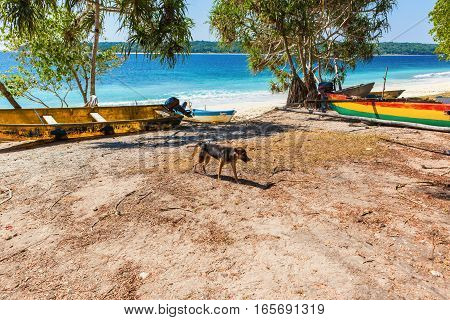 View of Jaco Island a natural reserve aprk in East Timor South East Asia