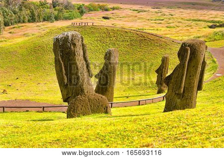 View of the iconic Moai on Easter Island in Chile