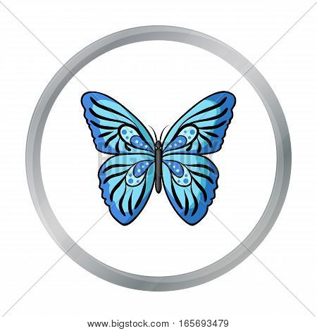 Butterfly icon in cartoon design isolated on white background. Insects symbol stock vector illustration.