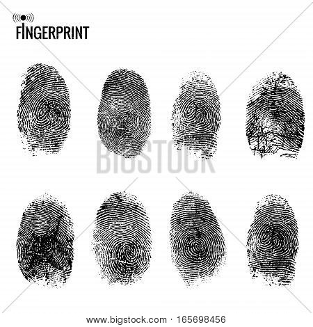 Vector fingerprint set. Distressed finger mark on white background. Texture element for your design.