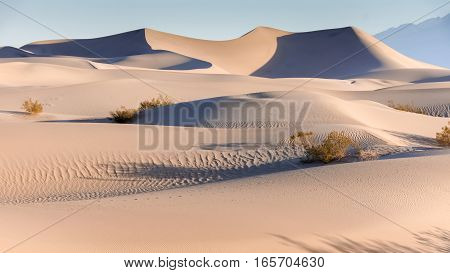 Mesquite Flat Sand Dunes, Sunrise, Death Valley National Park, California, USA