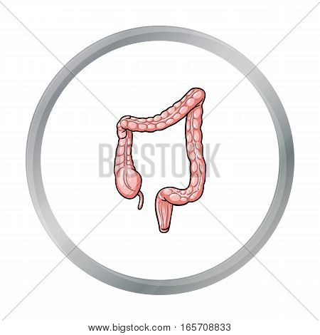 Human large intestine icon in cartoon style isolated on white background. Human organs symbol vector illustration.