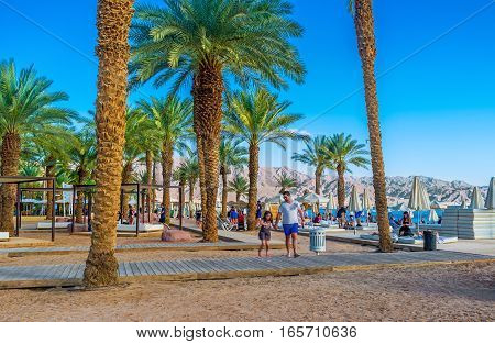 EILAT ISRAEL - FEBRUARY 23 2016: Eilat boasts very comfortable beaches surrounded by green shady gardens of slender palms on February 23 in Eilat.