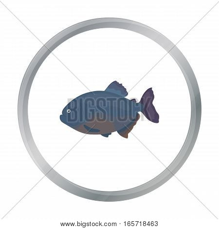 Piranha fish icon cartoon. Singe aquarium fish icon from the sea, ocean life cartoon. - stock vector