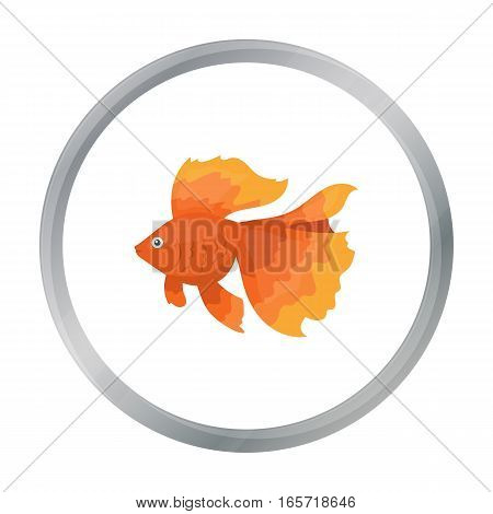 Gold fish icon cartoon. Singe aquarium fish icon from the sea, ocean life cartoon. - stock vector