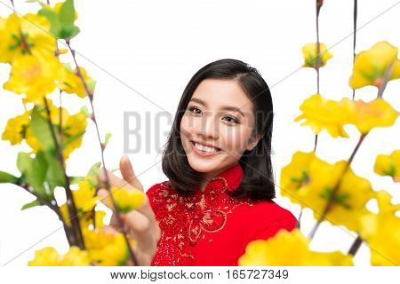 Portrait of a beautiful Asian woman on traditional festival costume Ao Dai holding Hoa Mai tree (Ochna Integerrima) flower. Tet holiday. Lunar New Year.