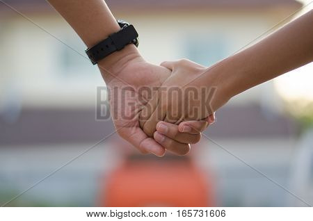 Brothers holding hands went ahead with concern and ties. Happy and fun.