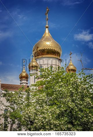 Church Dmitry Rostovsky - Orthodox church in Rostov -on-Don Russia . A bright day in May the sun glare on the gilded dome . Blossoming acacia.