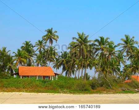 House under the palm trees on the beach of the Indian Ocean