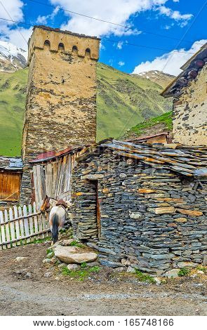 The Traditional Svan Village