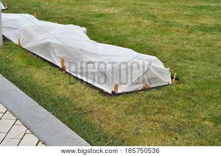 Protection against extreme cold and insulating roses. Protect them from unnatural warm spells that can spell disaster for roses in the middle of winter. Protecting Roses from Winter Damage