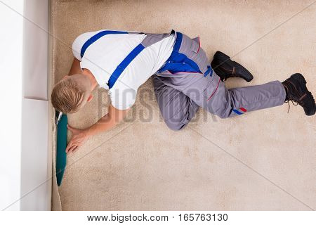 High Angle View Of A Craftsman Installing Carpet On Floor