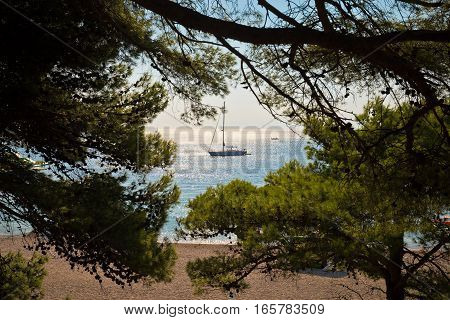Sailboat at Zlatni Rat beach pine trees on pebble beach Brac island Croatia
