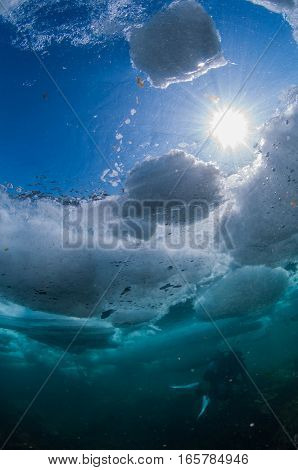 Drift Ice Diving in Shiretoko Utoro , Hokkaido , Japan.