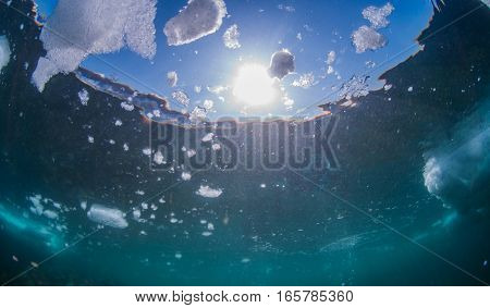 Drift Ice Diving in Shiretoko Utoro , Hokkaido , Japan.