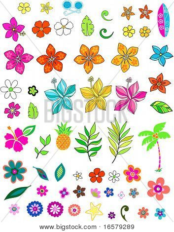 Lotes de ilustração em vetor de Verão flores