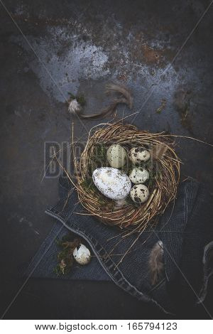 Oster Dekoration Mit Nest Und Ei Auf Dunklem Hintergrund