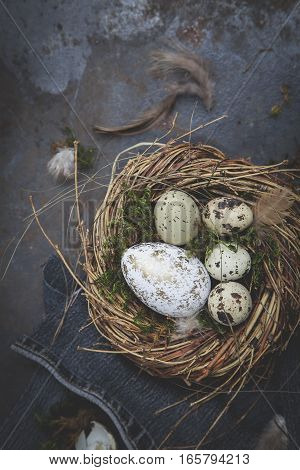 Oster Dekoration Mit Nest Und Ei Auf Dunklem Hintergrund