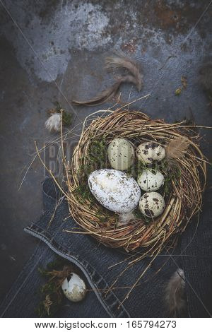 Oster Dekoration Mit Nest Und Ei Auf Dunklem Hintergrund