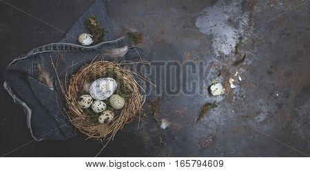 Oster Dekoration Mit Nest Und Ei Auf Dunklem Hintergrund