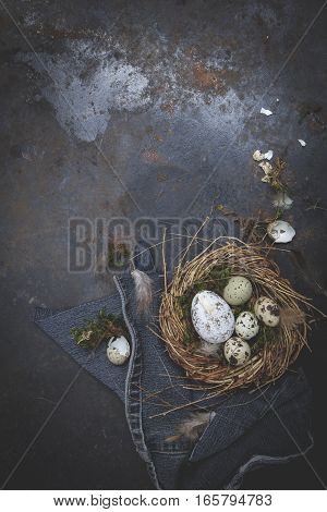Oster Dekoration Mit Nest Und Ei Auf Dunklem Hintergrund