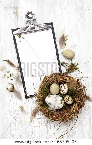 Oster Dekoration Mit Nest Und Ei Auf Weißem Holz Hintergrund
