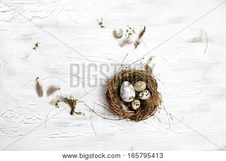 Oster Dekoration Mit Nest Und Ei Auf Weißem Holz Hintergrund