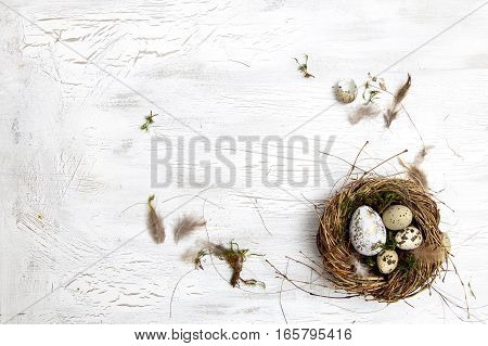 Oster Dekoration Mit Nest Und Ei Auf Weißem Holz Hintergrund