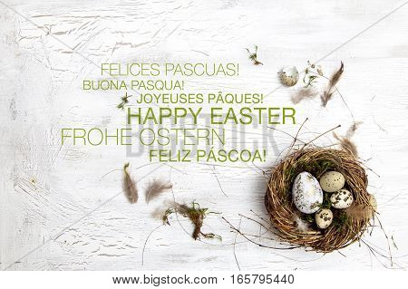 Oster Dekoration Mit Nest Und Ei Auf Weißem Holz Hintergrund