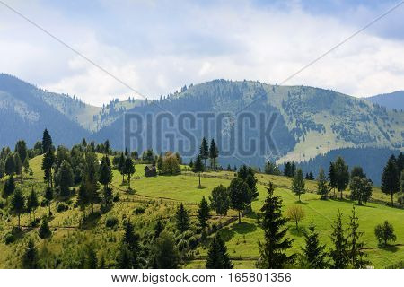Mountain landscape in bucovina with green fields, pines and a small house, romania