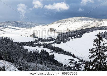 Winter mountain landscape - top view of snow covered valley with pine forest