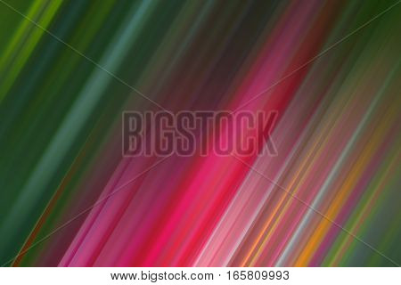 Rays of lines with dark green and pinky red gradient color