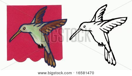 Obrázek ilustrace kolibřík