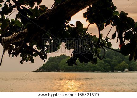 Sunset over ocean with island view with branch framing it