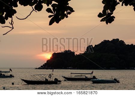 Sunset over ocean with island view with branch framing it