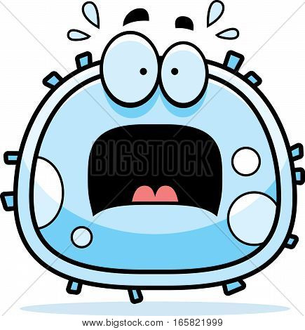 Scared White Blood Cell