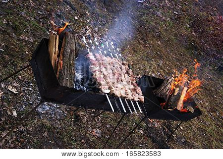 closeup of some meat skewers being grilled in a barbecue