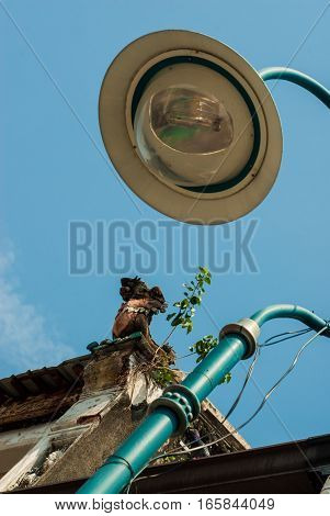 Street Lamp and Roof in George Town, Penang