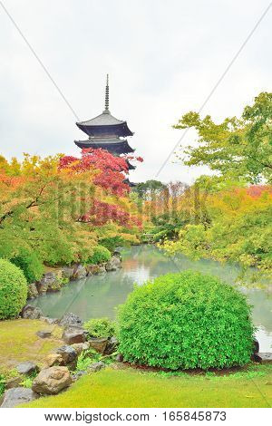Five storied pagoda and autumn leaves at Toji temple in Kyoto Japan