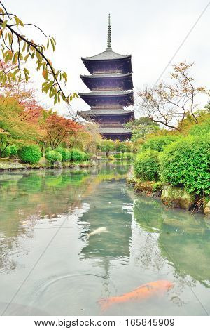 Pagoda and carp fish at Toji temple in Kyoto Japan