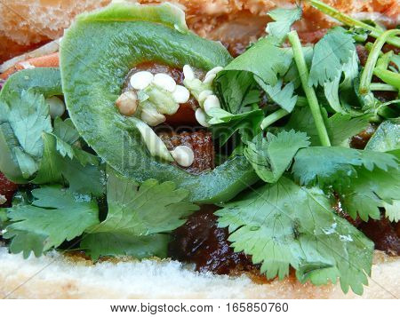 This is a close up view of a Vietnamese banh mi sandwich showing off the cilantro and sliced jalapeno peppers with seeds