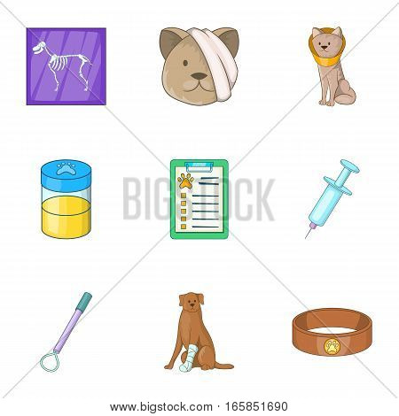 Pet veterinary clinic icons set. Cartoon illustration of 9 pet veterinary clinic vector icons for web