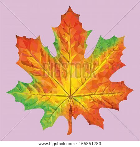 Polygonal yellow leaf.Vector illustration. Autumn maple leaf