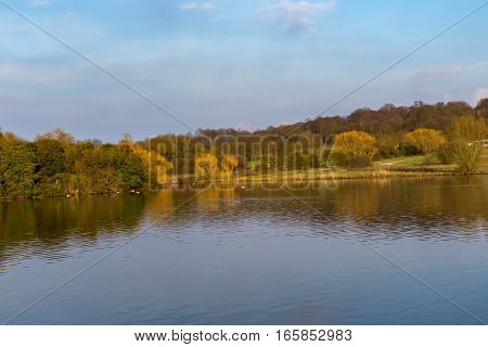 Lake and forest scene in springtime. Spring time in Hainault Country Park taken in the late afternoon.