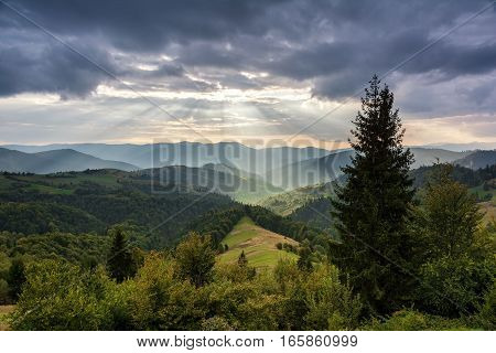 Mountain landscape at sunset. Carpathian Mountains Mizhhiria Ukraine.