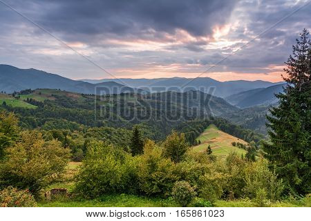 Mountain landscape at sunset. Carpathian Mountains Mizhhiria Ukraine.