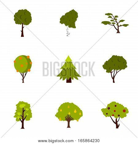 Kind of trees icons set. Flat illustration of 9 kind of trees vector icons for web