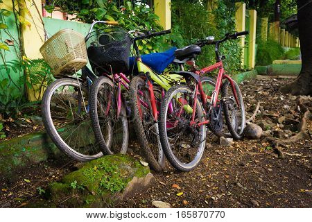 Bicycles parked under the tree photo taken in Depok Indonesia java