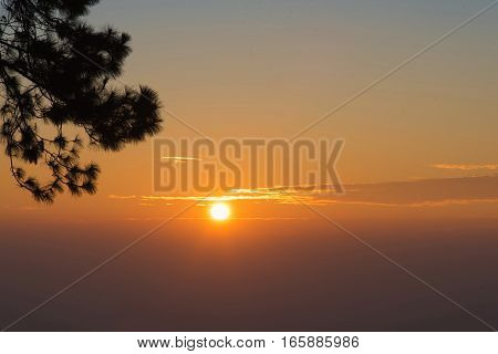 Sunrise In The Morning,