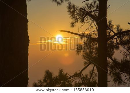 Sunrise In The Morning,